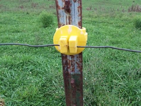 electric fence box for cattle light not blinking|electric fence not shocking.